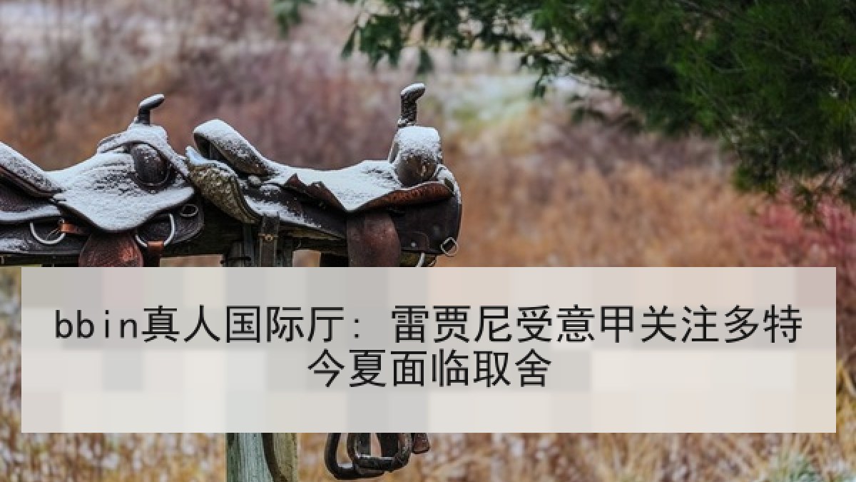 bbin真人国际厅: 雷贾尼受意甲关注多特今夏面临取舍
