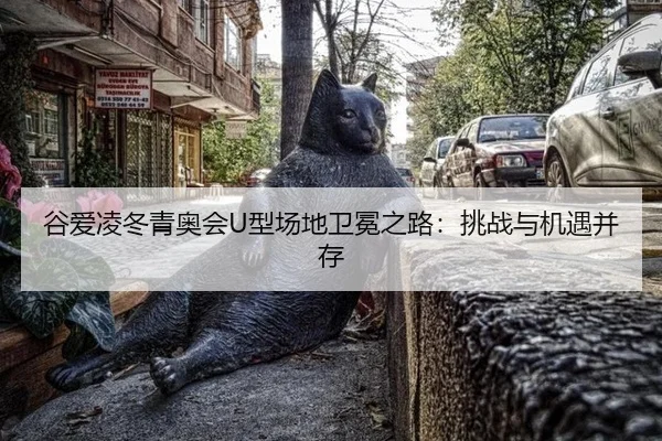 gu-ai-ling-dong-qing-ao-hui-xing-chang-di-wei-mian-zhi-lu-tiao-zhan-yu-ji-yu-bing-cun-2-768.jpg