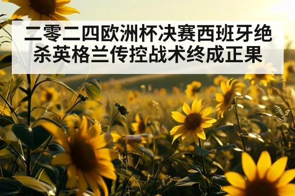 二零二四欧洲杯决赛西班牙绝杀英格兰传控战术终成正果